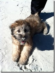 Renly First Beach Trip